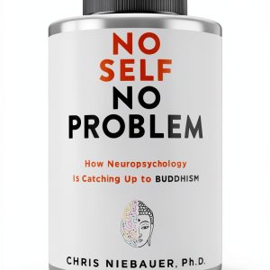 The No Self Wisdom Neuropsychology eBook by Hierophant Publishing-0